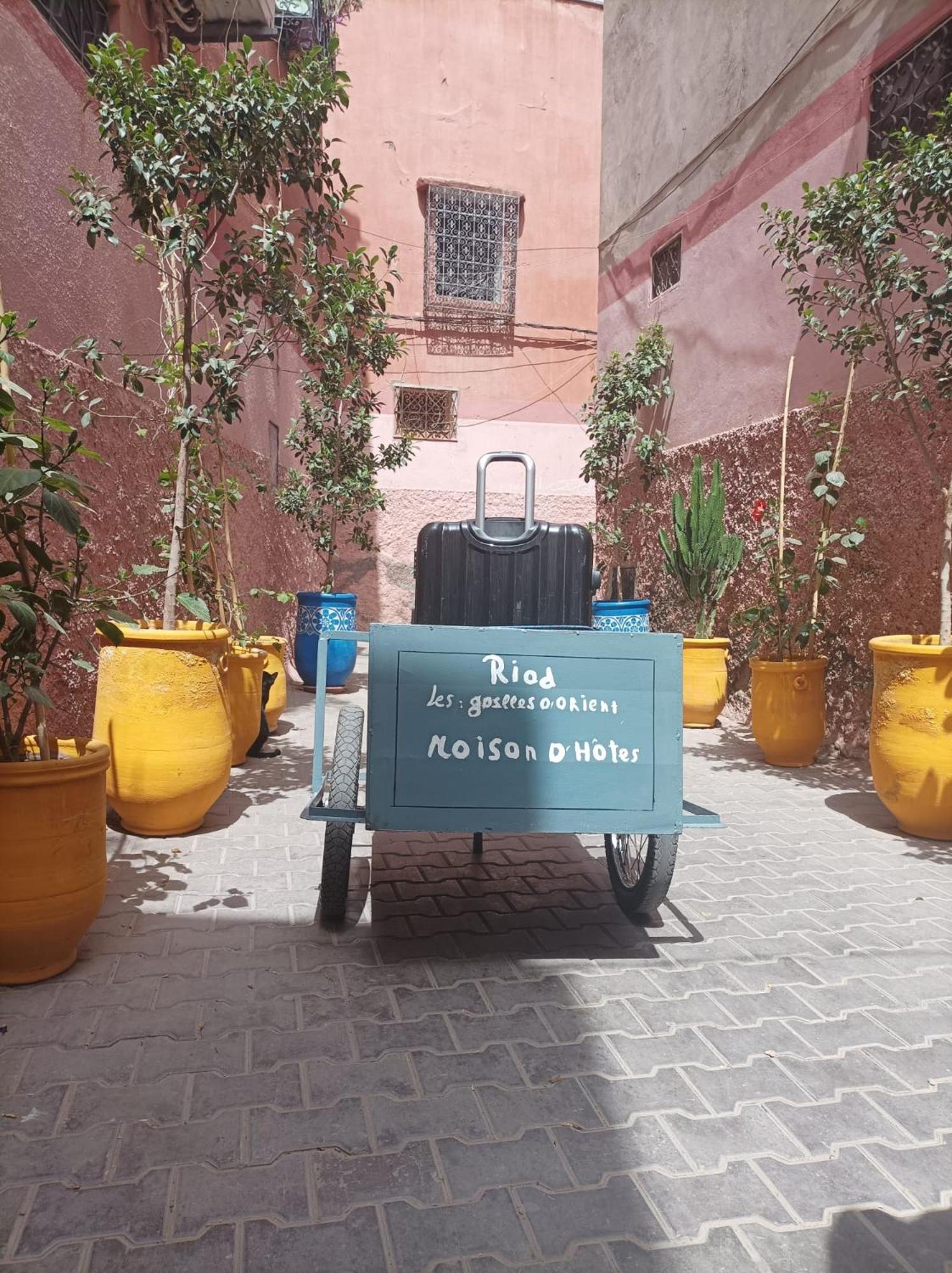 Riad Les Gazelles D'Orient Marrakech Marraquexe Exterior foto